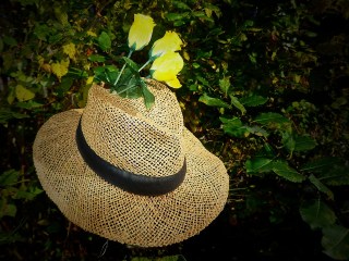 straw-hat-1752236_960_720