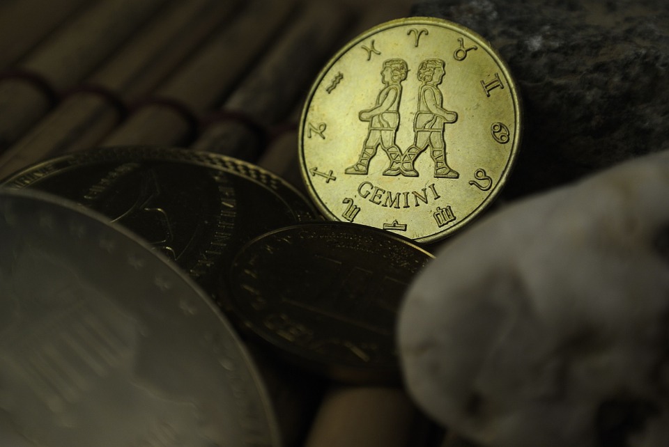 twins-684015_960_720