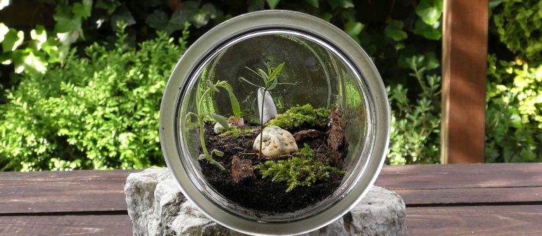 Terrarium
