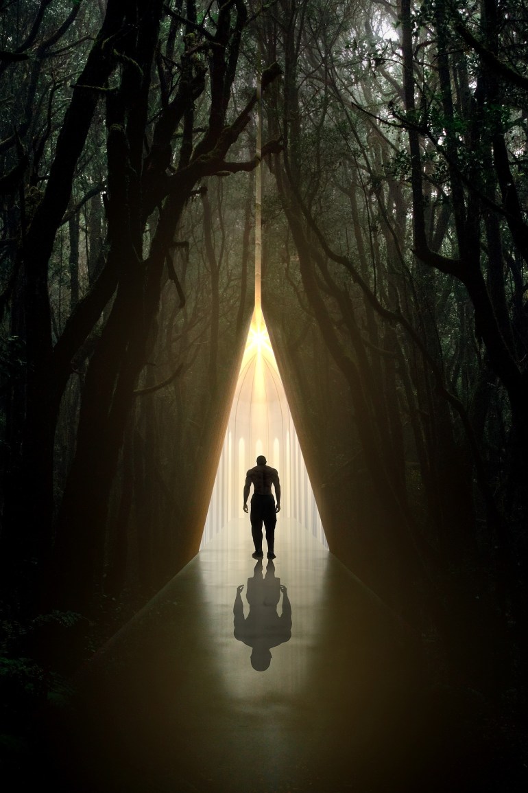 reborn-4360768_1920